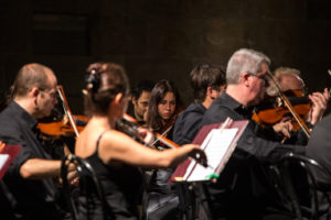Orchestra da camera fiorentina particolare 3 pic