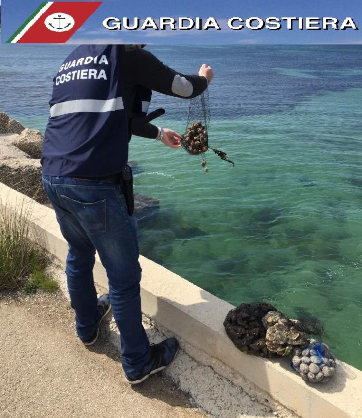 Controlli Della Capitaneria Di Porto Nei Ristoranti E Sul Molo Della Darsena Vecchia A Livorno Sequestri Di Pesce Anche Di Provenienza Illegale E Multe Toscana Eventi News